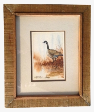 O'callaghan, Canadian Goose, Watercolor Painting, 1983 - Watercolor Painting