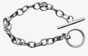 Animal Jam Charm Bracelet - Charm Bracelet