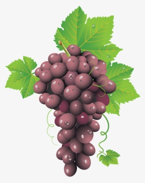 Red Grape Png