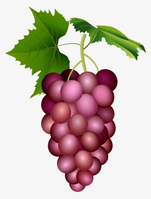 Grape Png