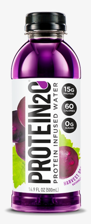 Harvest Grape - Protein H20