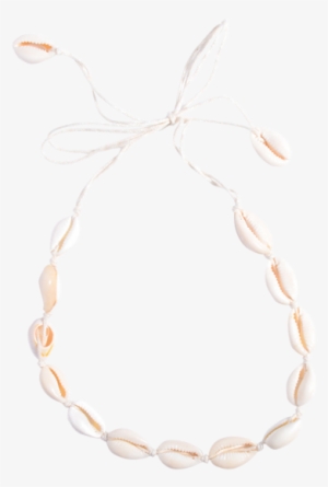 Womens Necklaces - Shell Choker Necklace