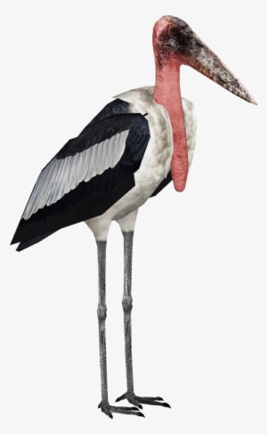 Stork Png High-quality Image - Zt2 Stork