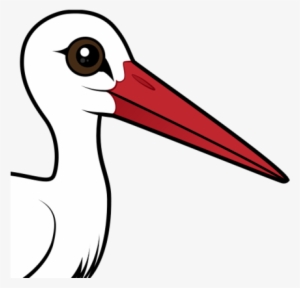 About The White Stork - White Stork In Europe