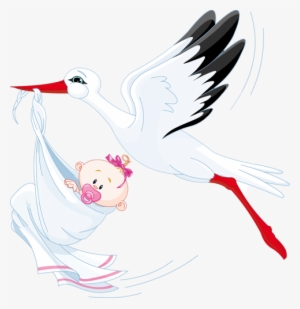41 - Stork With Baby Vector
