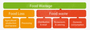 Food Wastage Definition - Food Waste Vs Food Loss