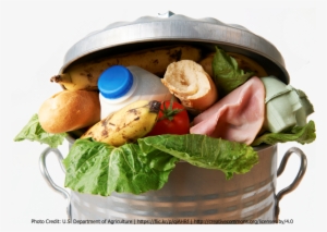 Trash Can Filled With Food - Wasted Food