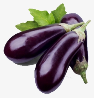 Eggplant Free Download Png - Brinjal Png