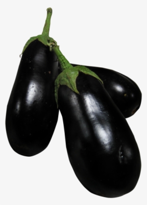 Download Eggplant Png Image - Brinjal Pngs