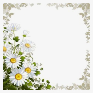 Daisy Flower Frame - Daisy Frame