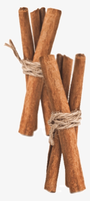Cinnamon Sticks - Royalty-free