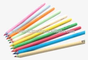 Zebra Pattern Eco-friendly Paper Color Pencil - Colored Pencil