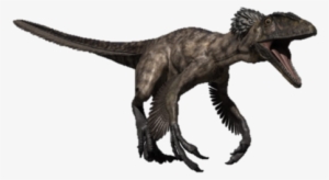 Raptor New - Deinonychus Walking With Dinosaurs