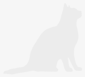 Grey Cat Decoration - Grey Cat Silhouette Png
