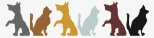 Animals, Cat, Silhouette, Dog, Pets, Colors, Animal - Happy Fur Mothers Day