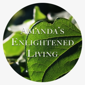 Amanda's Enlightened Living - Heart