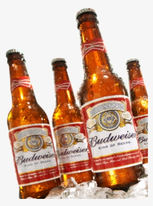 Budweiser Transparent Png - Chilled Budweiser Bottle
