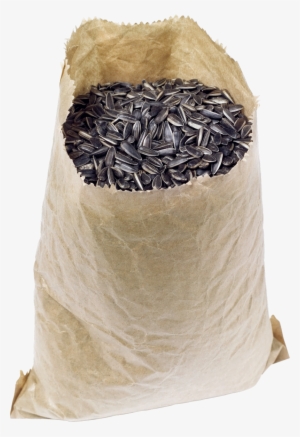 Sunflower Seeds Png Image - Семечки Пнг