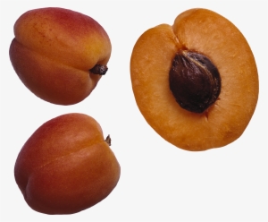 Fruits And Seeds Png