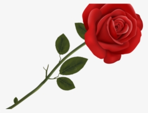 Red Rose Clipart Double - Transparent Background Rose Clipart
