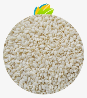 Hulled Sesame Seeds - Sesame