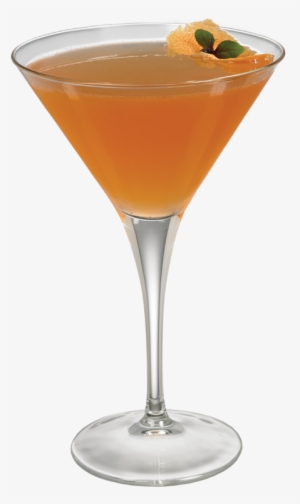 Grapefruit Martini - Canciller Coctel