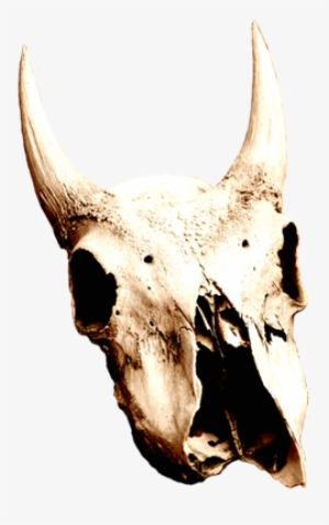 Skull Clipart Desert Skull - Desert Skull Png