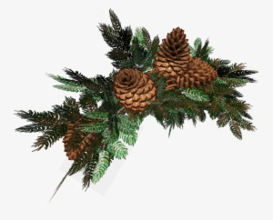 Pine Cones, Christmas Christmas, Cgi, Acrylics, Natal, - Еловые Ветки На Прозрачном Фоне