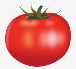 Food Tomato Vegetable Tomato Tomato Tomato - Transparent Background Tomato Clipart