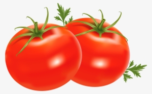 Tomato Drawing Kamatis - Vegetable Tomato In Clip Art