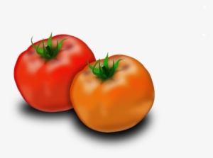 Tomato Fruit Solanum Lycopersicum Nutritio - Buah Tomat Png