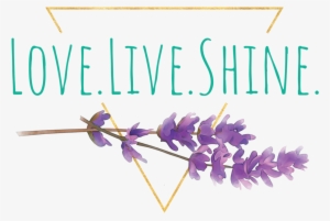 Live - Shine - Bath Fizzies
