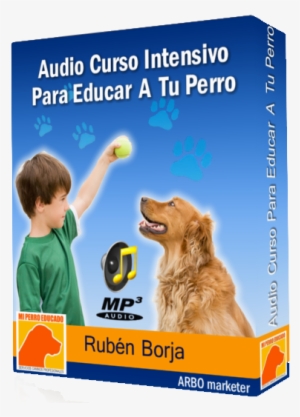 Caja Audio Curso Para Adiestrar A Tu Perro 1 - Cursos Para Perros