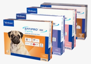 Effipro Duo Perro - Effipro Duo Spot-on For Small Dogs Up To 22 Lbs. 12