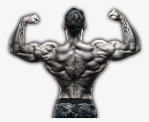 Get A Stronger, Leaner, - Best Exercise For Traps Muscles