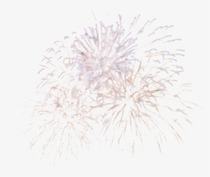 Download - Fireworks