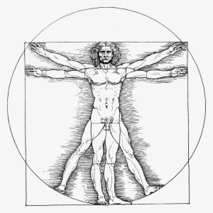 Vitruvianischer Mann - Symmetry In Human Body