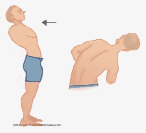 Torso Muscles 3 - Cartoon