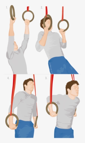 Performing - Beginner Gymnastic Ring Exercises