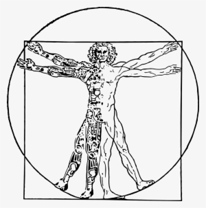 This Is A Play On The Vitruvian Man I Had Painted On - Line Art