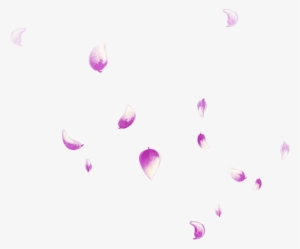 Petal Falling Transprent Png Free Download Pink - Portable Network Graphics