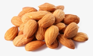 Almond Clipart File - Almonds Png