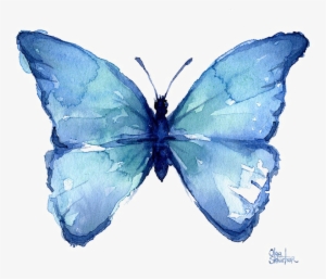 Blue Butterfly Png Free Download - Blue Butterflies Watercolor Art