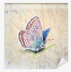 Copper-butterfly Realistic, Vintage Style Watercolor - Illustration