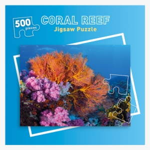 500 Piece Coral Reefs Jigsaw Puzzle