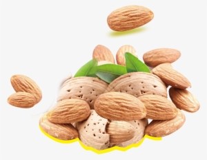 Almond Milk Nutrient Nutrition Fat Nuts - Dried Fruit