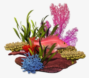 Fundo Do Mar Marine Plants, Marimo, Under The Sea, - Embroidery