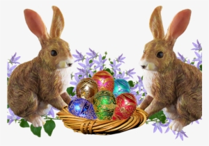easter basket bunny png transparent images - easter