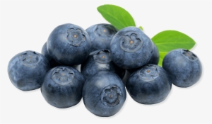 Blueberry In France