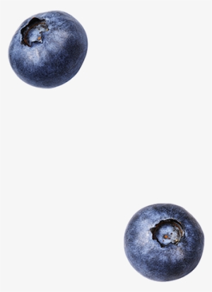 Clipart Resolution 329*453 - Blueberry Top View Png